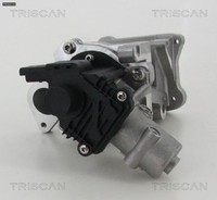 Triscan 881310007 Agr-Ventil AGR Ventil AbgasrüCkfüHrventil
