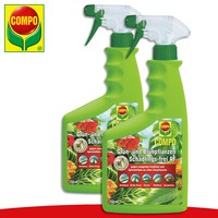 Compo 2 X 750 Ml GrüN- Und BlüHpflanzen SchäDlings-Frei Af