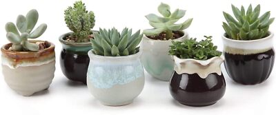 T4U Small Ceramic Succulent Pots with Drainage Set Pack of 6, Flowing Glazed 