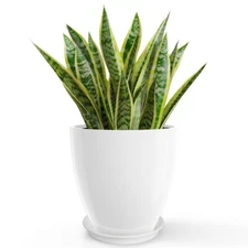 12'' Round Tall Planter Plastic Resin Vase Flower Pot with Drainage Modern Décor