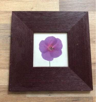 Cadre carré couleur prune avec photo d’orchidée - Photo 1/3