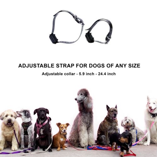 Cuello de perro vibratorio para entrenamiento de perros control remoto recargable Reino Unido - Imagen 12 de 12