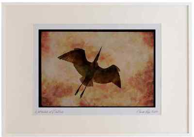 043014 Gemeiner Reiher Aquarell Bilderrahmen Limitierte Auflage A2