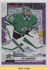 2017-18 O-Pee-Chee Platinum Violet Pixels Ben Bishop #124 READ 4a0