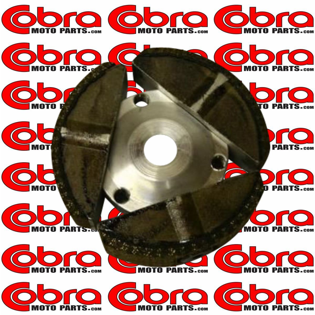 Complete Clutch 2007-2013 | Cobra 50cc King Jr | Camu0005