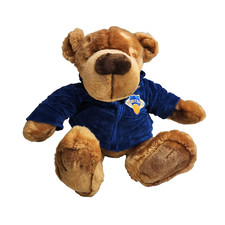 Gund Bear All Star Basketball Plush Bear Stuffed Animal 21" With Hoodie
