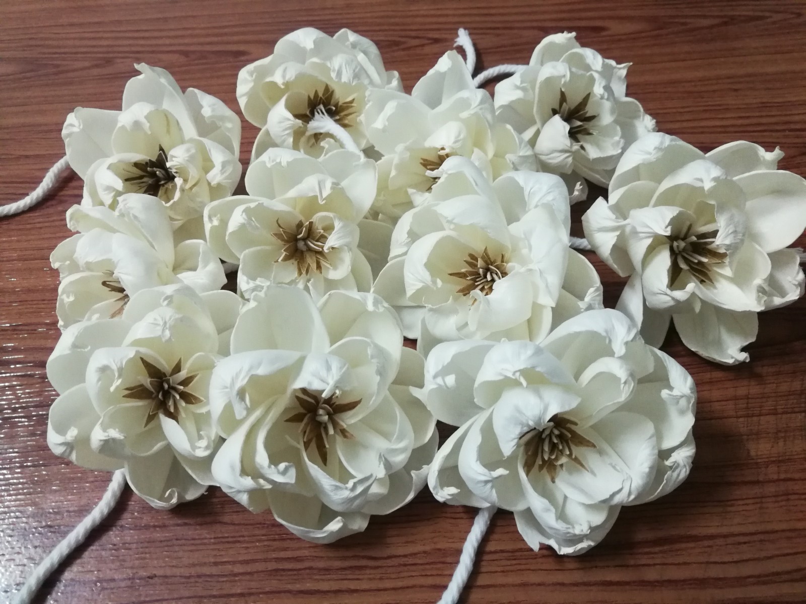 Gardenia Sola Wood Diffuser Flowers 7-8 CM with Cotton Rope Home decor ...