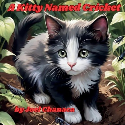 Joel Chanaca A Kitty Named Cricket (Paperback) (UK IMPORT)
