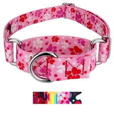 Country Brook Petz® Martingale Dog Collar - Affection Collection