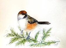 Original Watercolor Chickadee Bird Painting 9x12 – Winter Nature Art