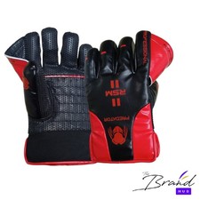 Predator Indoor Wicket Keeping Gloves | Pro Cricket Grip & Comfort