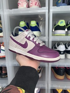 rare nike sb