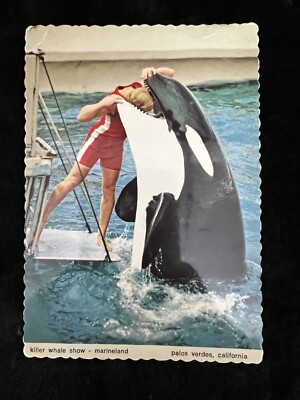 Vintage Post Card From Marineland in Palos Verdes CA of Killer Whale 1974 Unused