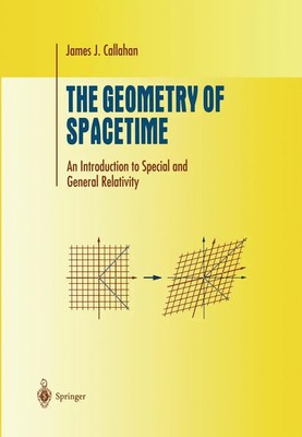 The Geometry of Spacetime An Introduction to Special and General Relativity Buch