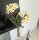 Artificial Plumeria Arrangement, Cream/Yellow/Green, Clear Glass Vase — photo 1