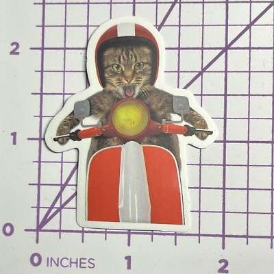 #ad JDM Cat Hot Rod Racing Vinyl Decal Sticker Bomb Cat JDM Speed Motorcycle Humor $3.69