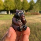 Bild 6 von 6