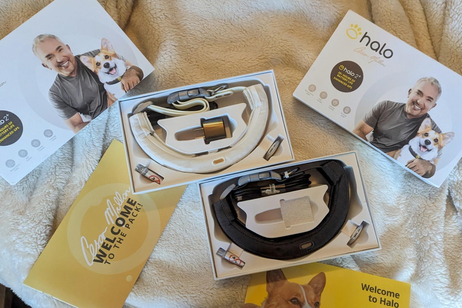 Halo 2+ with Cesar Millan Wireless Dog Fence with GPS Collar Solution