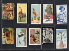 Chicken poultry cockerel mixed lot of 10 different Cigarette cards #137