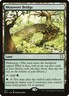 MTG Mosswort Bridge (251/359) Adventures in the Forgotten Realms Commander LP
