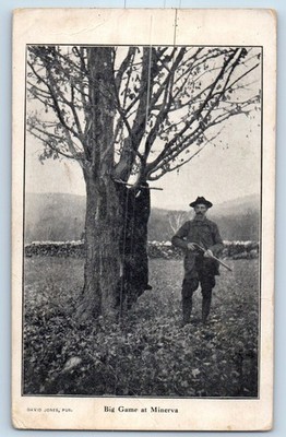 1908 Big Game At Minerva Bear Hunting Minerva New York NY Antique Postcard