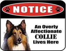 Notice an Overly Affectionate Collie Lives Here 9 inch x 11.5 inch Laminated Dog