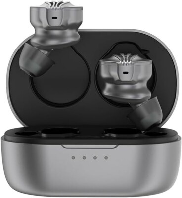 FiiO FW3 LDAC/LHDC True Wireless Earbuds, 10mm Drivers In-ear