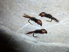 4 St. RITZ Nymphen Top Nymphe Regenbogen-Bach-Forelle Saibling Äsche Trout Char