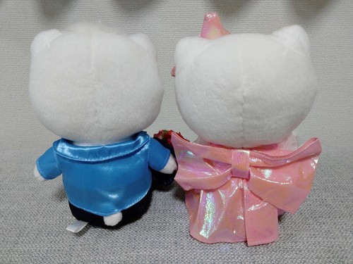 Sanrio Hello Kitty Daniel Wedding Doll Plush Toy Set Flower Dress Japan - Picture 11 of 11