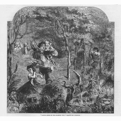 Coming Home by the Shortest Way by J Godwin - Antique Print 1861