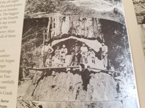Roots Of Motive Power Highline Newsletter Irvine&Muir Lumber Revisited Dec. 2013 - Picture 10 of 11