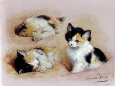Waking Kitten by H.Knip cat pet Tile Mural Kitchen Wall Backsplash Ceramic 10x8