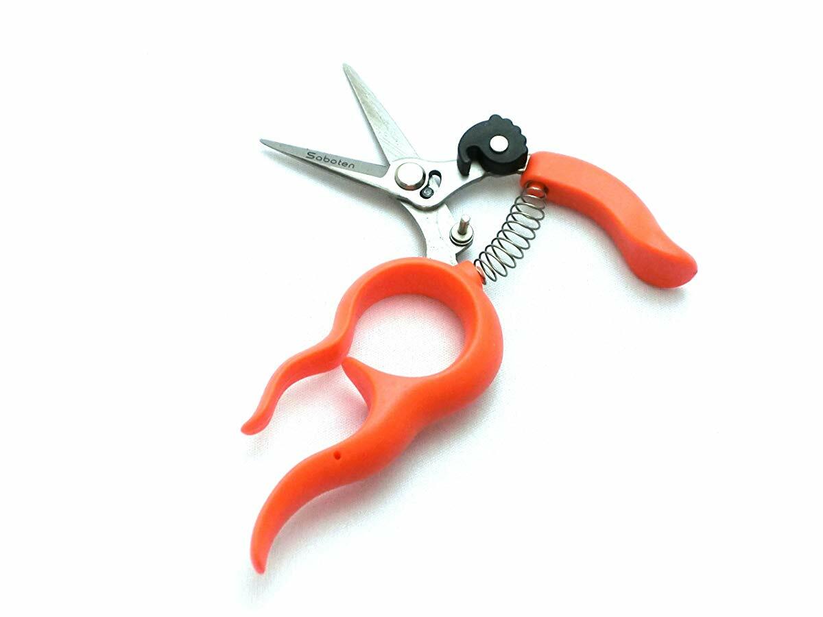 SABOTEN Stainless Steel Harvesting Scissors from Japan* | eBay