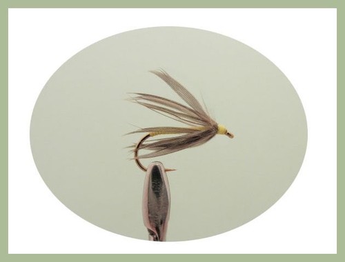 North Country Spider Trout flies, 24 Boxed Set, Silicone Insert, Fly Fishing - Picture 6 of 7