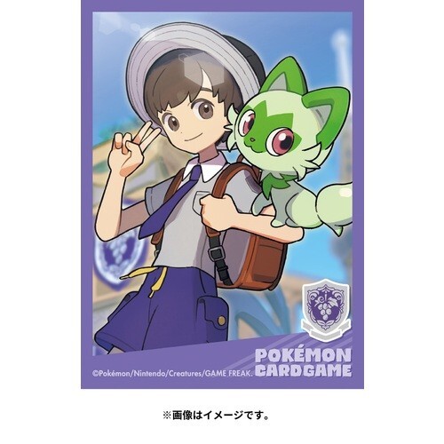 professor program 2017 スリーブ　1 s-l1200.jpg