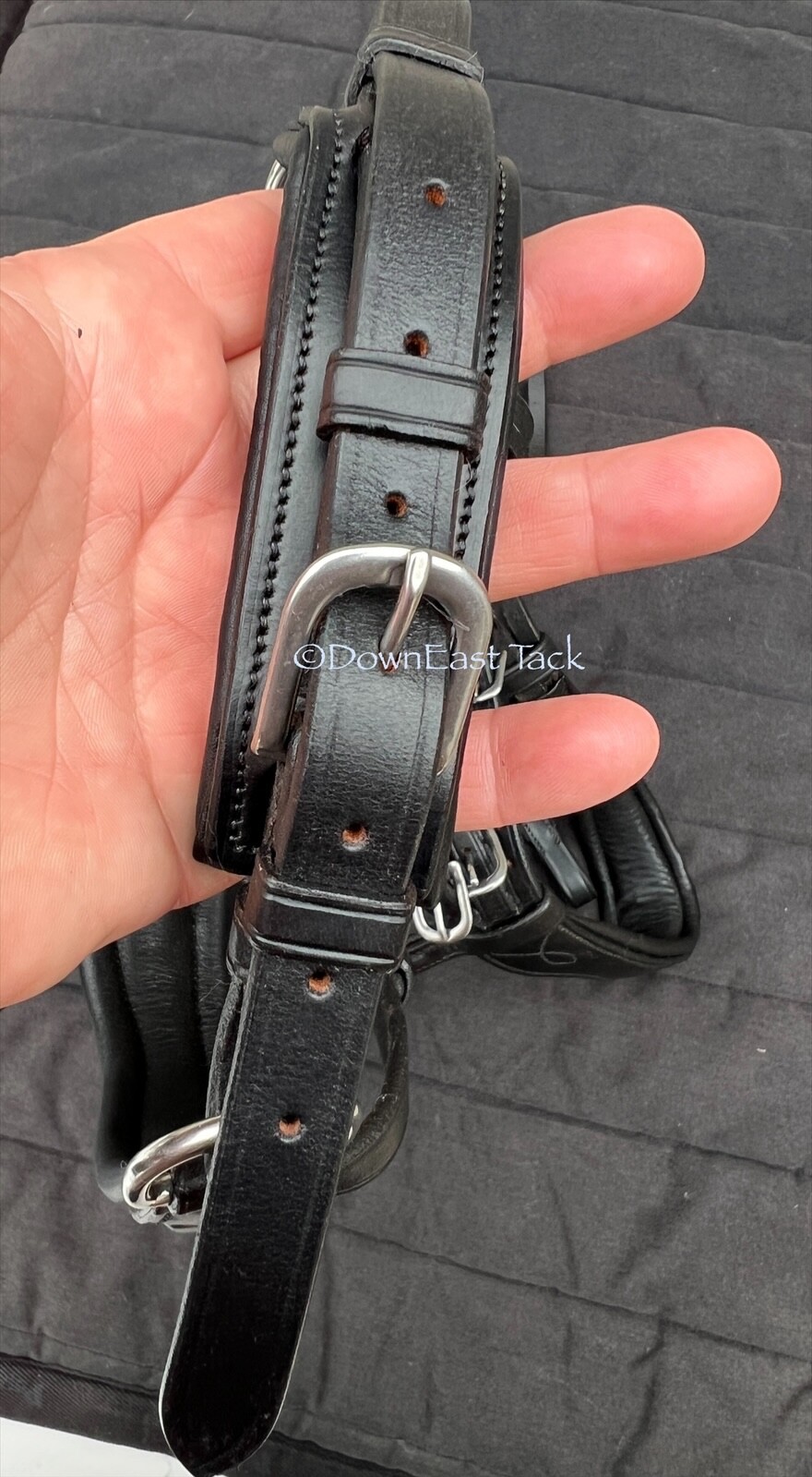 Cob-size ANTARES Original Design Dressage Double bridle - Lovely! Retail $600+