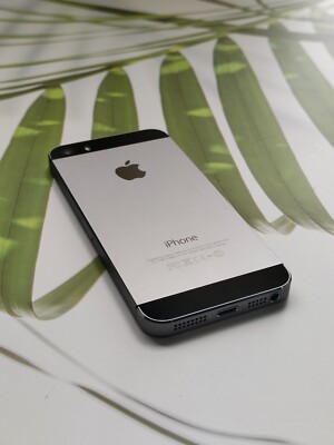 Buy Apple iPhone 5s - 64 GB - Space Gray (Unlocked) online