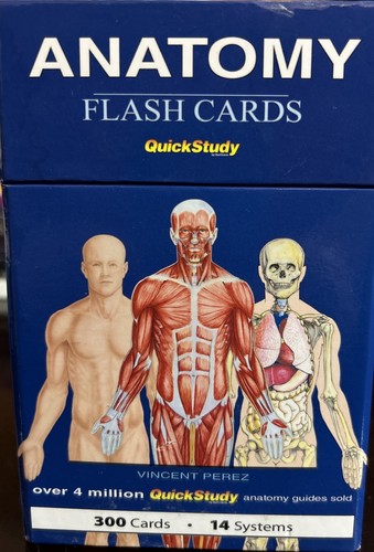 Anatomy Flash Cards QuickStudy 300 Cards 14 Systems. EUC - 第 1/8 張圖片
