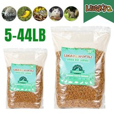 5-44LB Dried Black Soldier Fly Larvae Mealworms for Chicken Birds Treats Premium