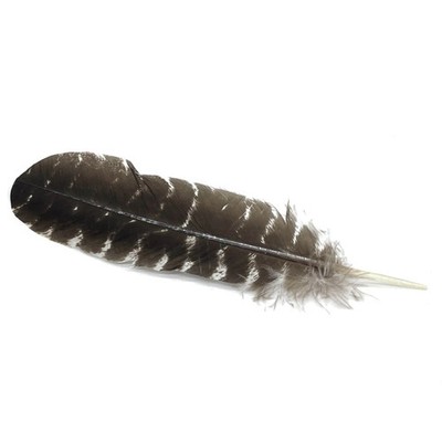 Barred Imitation Eagle Feather 6  -8     dekorativer & ritueller Gebrauch