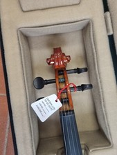 Chitarra Elettrica Viola Fiammata, Top In Acero, Manico Mogano, 24 Tasti
