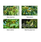 Foto 15 di 21
