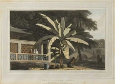 Original aquatint View in a Chinese Garden Thomas Daniell 1810