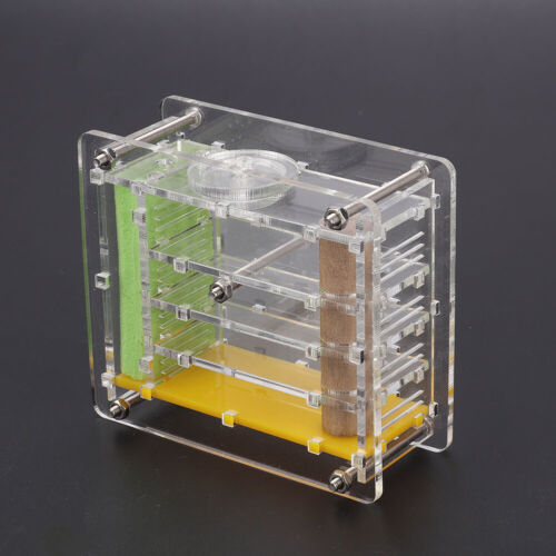 Durable Acrylic Ant Villa Farm House Formicarium For Ant Feeding Accessory♡ - Picture 1 of 9