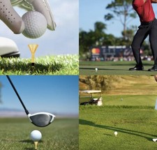 Big Cup Professional Golf Tees 500 Count
