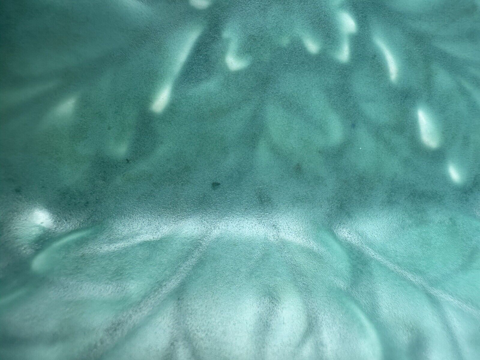 Picture 7 of 10
