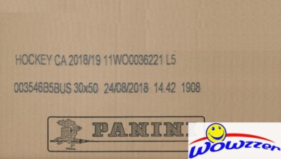 2018/19 Panini Hockey Stickers MASSIVE 30 Box Factory Sealed CASE-7,500 Stickers