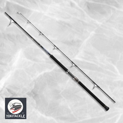 Daiwa 25 SALTIGA C 73-12 Spinning Rod JDM Shipping From JAPAN | eBay