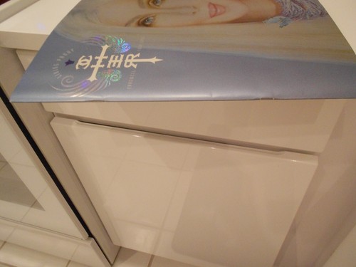 CHER LIVING PROOF FAREWELL TOUR 2003 SOUVEMIR BOOKLET VG++ CONDITION - Foto 11 di 11