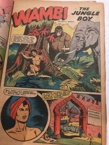JUNGLE COMICS #67: Casa de ficción julio de 1945, Feria; GGA, SIMBA, Kaanga, Wambi - Imagen 15 de 18